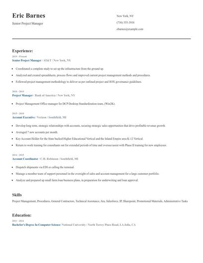 Senior Project Manager Resume