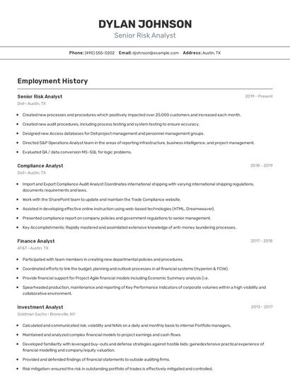 Senior Risk Analyst Resume