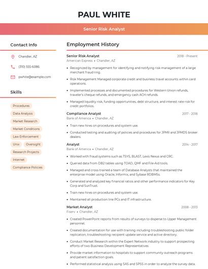Senior Risk Analyst Resume