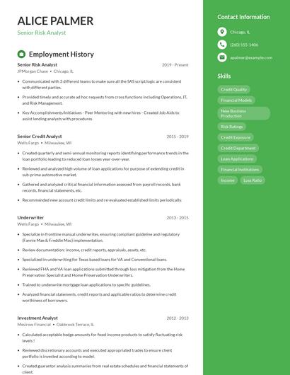 Senior Risk Analyst Resume