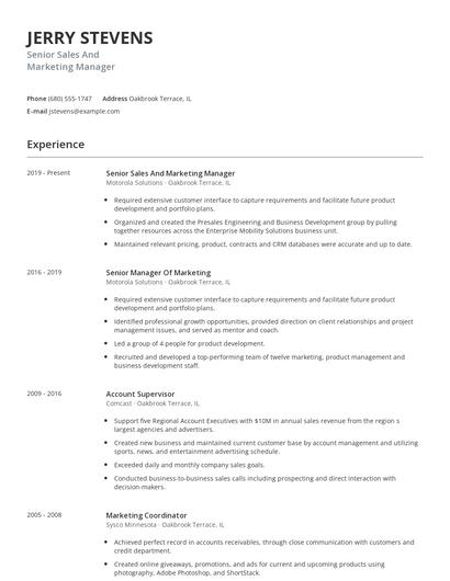 Senior Sales And Marketing Manager Resume