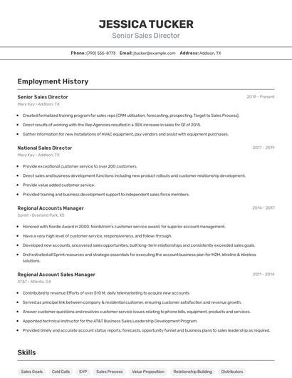 Senior Sales Director Resume