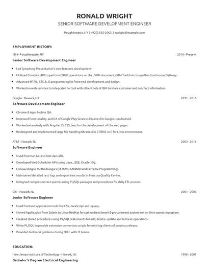 Senior Software Development Engineer Resume