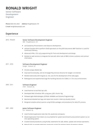 Senior Software Development Engineer Resume
