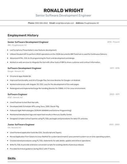 Senior Software Development Engineer Resume