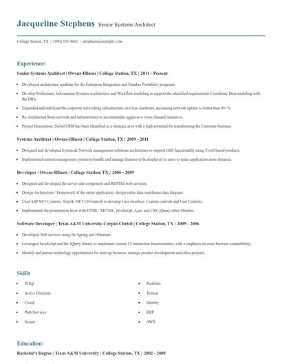 Senior Systems Architect Resume