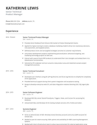 Senior Technical Product Manager Resume