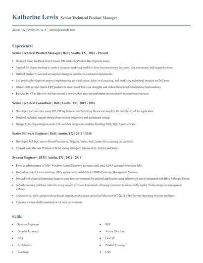 Senior Technical Product Manager Resume