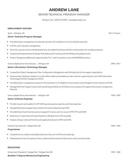 Senior Technical Program Manager Resume
