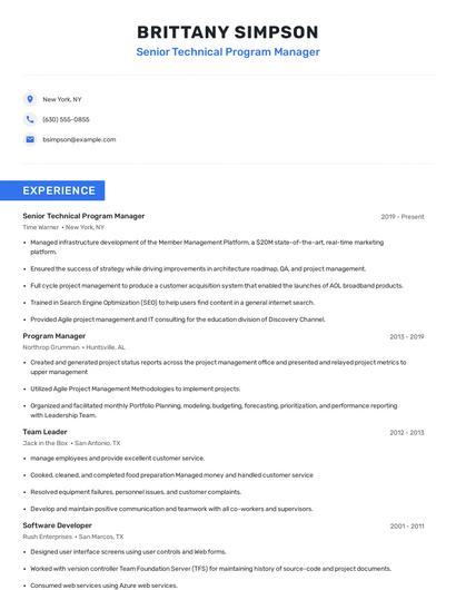 Senior Technical Program Manager Resume