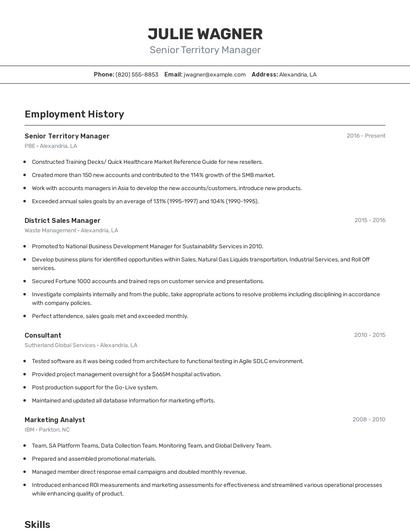 Senior Territory Manager Resume