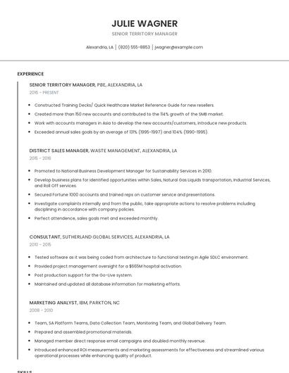 Senior Territory Manager Resume