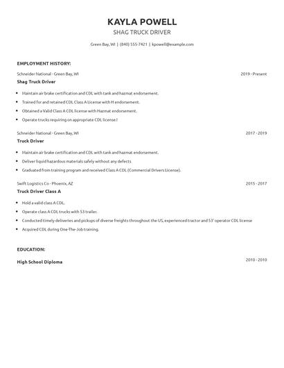 Shag Truck Driver Resume