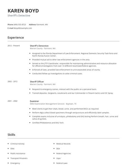 Sheriff's Detective Resume