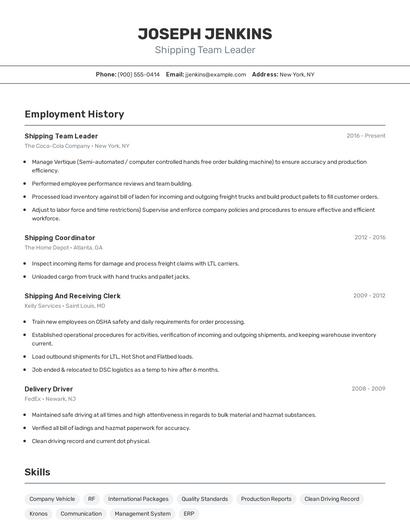 Shipping Team Leader Resume