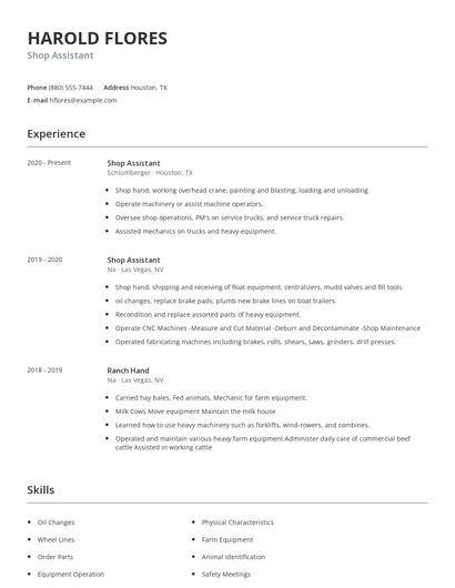 Shop Assistant Resume