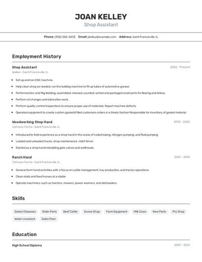 Shop Assistant Resume