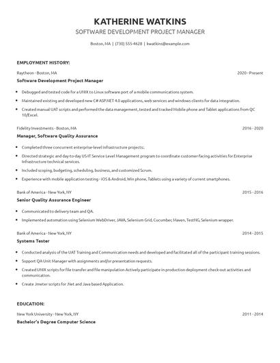 Software Development Project Manager Resume
