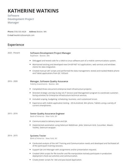 Software Development Project Manager Resume