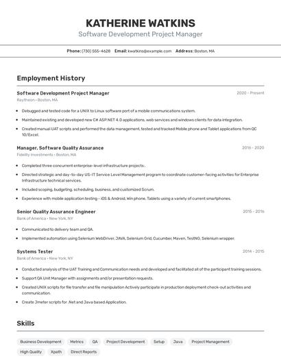 Software Development Project Manager Resume