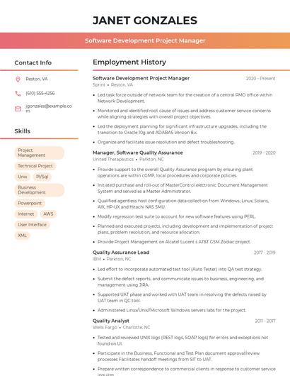 Software Development Project Manager Resume