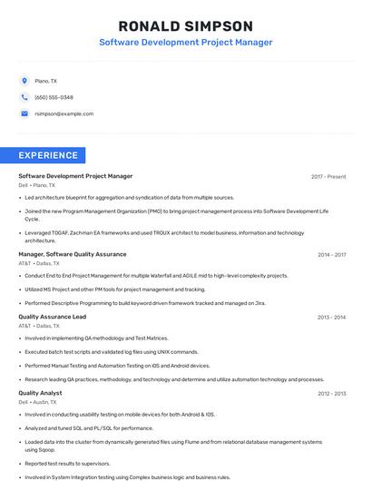 Software Development Project Manager Resume