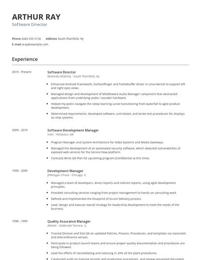 Software Director Resume