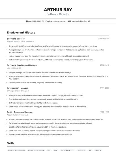Software Director Resume