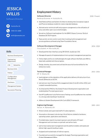 Software Director Resume
