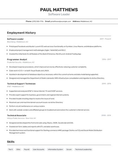 Software Leader Resume