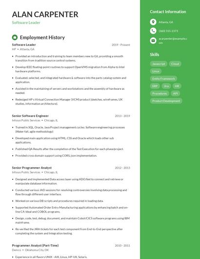 Software Leader Resume