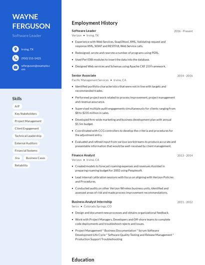 Software Leader Resume