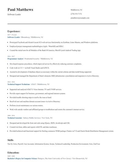 Software Leader Resume