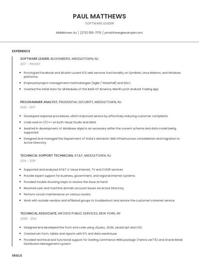Software Leader Resume