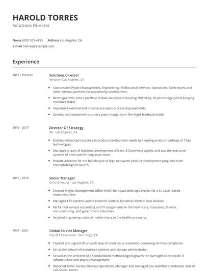 Solutions Director Resume