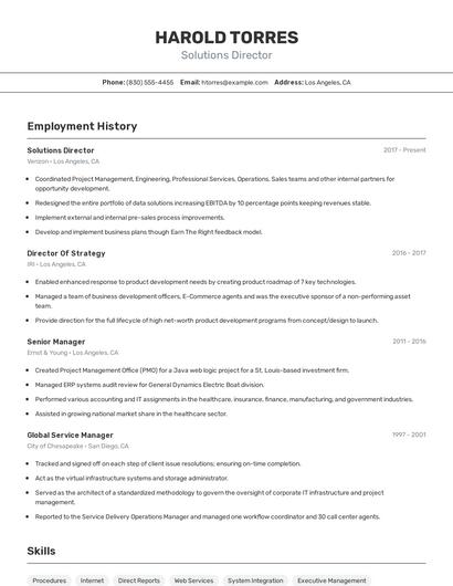 Solutions Director Resume