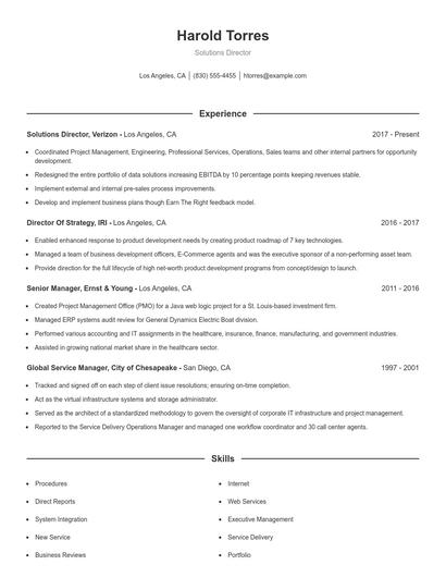 Solutions Director Resume