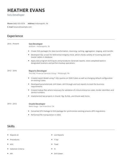 Ssis Developer Resume