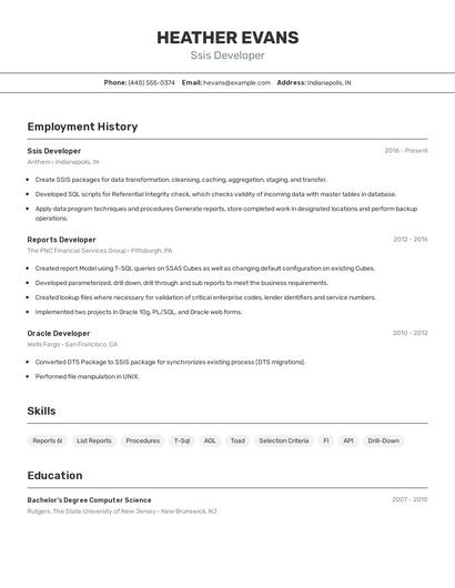 Ssis Developer Resume