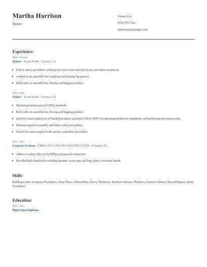 Stainer Resume
