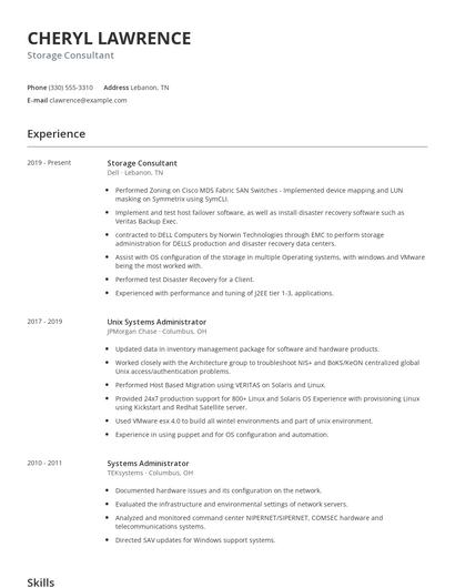 Storage Consultant Resume