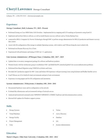 Storage Consultant Resume