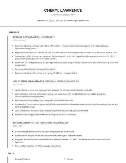 Storage Consultant Resume
