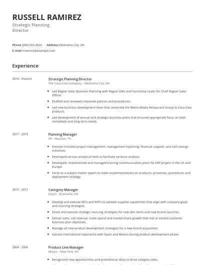 Strategic Planning Director Resume