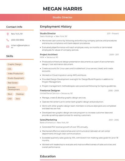 Studio Director Resume