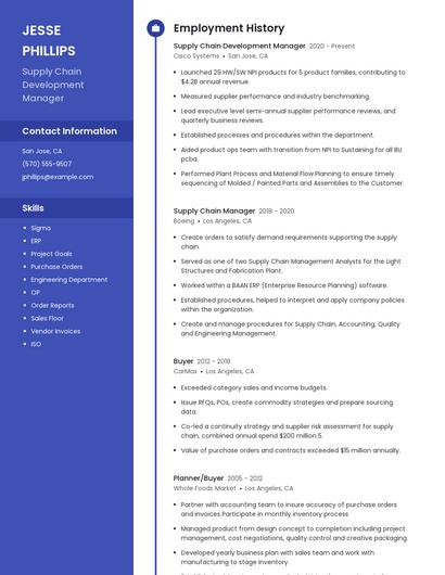 Supply Chain Development Manager Resume