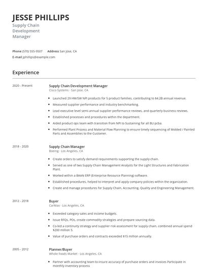 Supply Chain Development Manager Resume