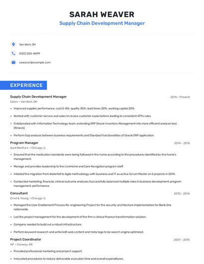 Supply Chain Development Manager Resume