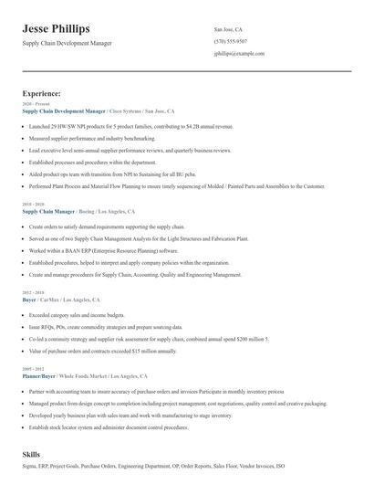 Supply Chain Development Manager Resume