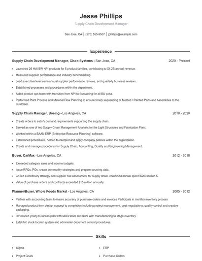 Supply Chain Development Manager Resume